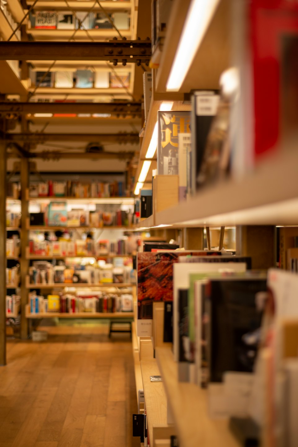 Bücherreihen auf Holzregalen in einem Buchladen.